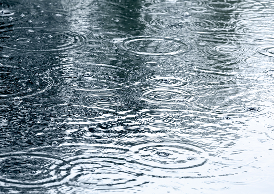 激しい雨